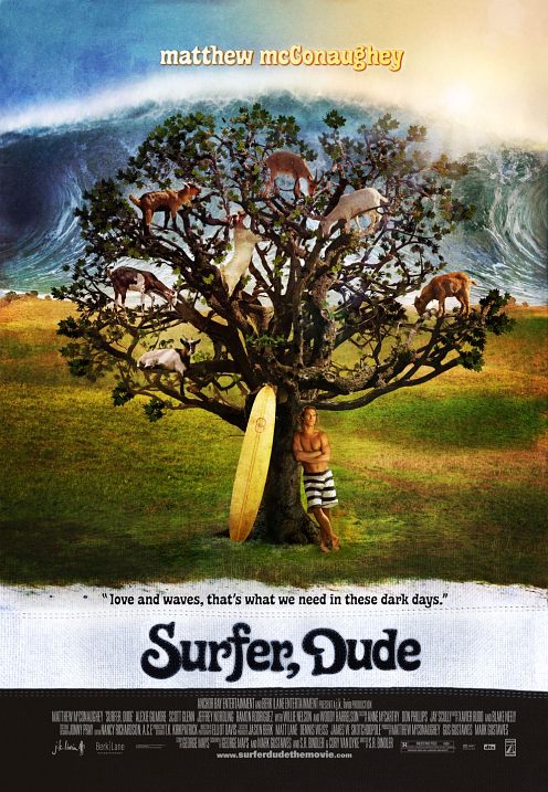 Surfer Dude poster
